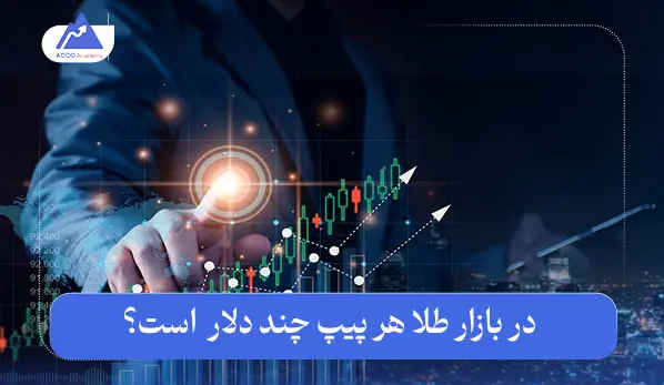 هر پیپ چند دلار است؟ ارزش هر پیپ در بازار طلا به زبان ساده