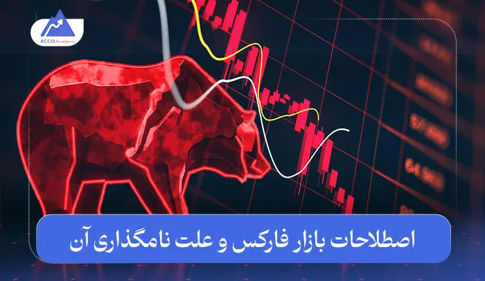اصطلاحات بازار فارکس | رازها و پشت پرده نام‌گذاری آن‌ها