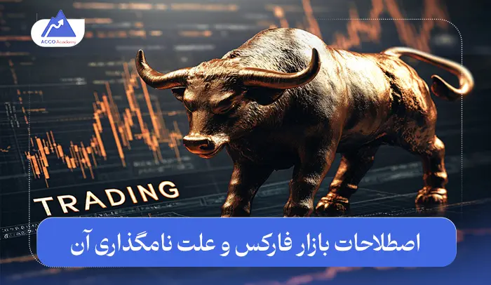اصطلاحات بازار فارکس | رازها و پشت پرده نام‌گذاری آن‌ها