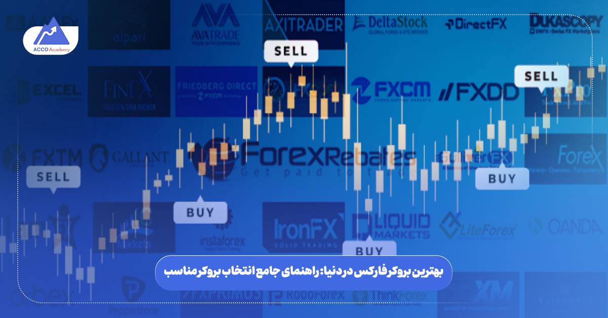 بهترین بروکر فارکس در دنیا